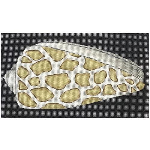 Spotted Olive Shell on Black Painted Canvas & More 
