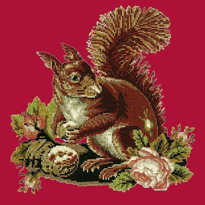 Squirrel Needlepoint Kit Kits Elizabeth Bradley Design Bright Red 
