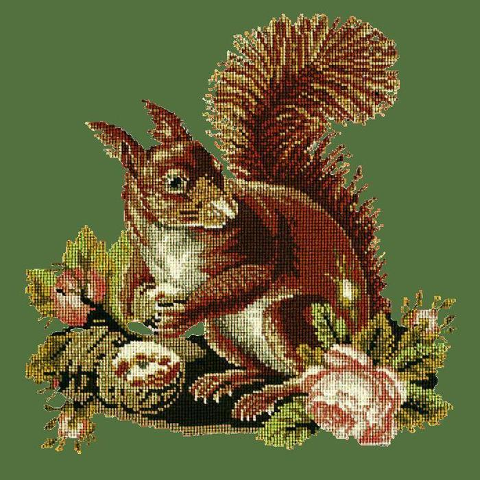 Squirrel Needlepoint Kit Kits Elizabeth Bradley Design Dark Green 
