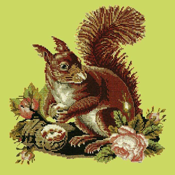 Squirrel Needlepoint Kit Kits Elizabeth Bradley Design Pale Lime 
