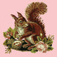 Squirrel Needlepoint Kit Kits Elizabeth Bradley Design Pale Rose 