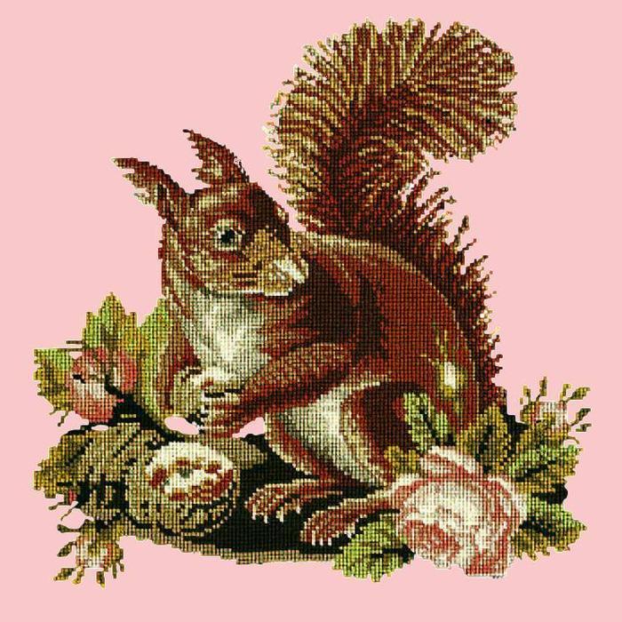 Squirrel Needlepoint Kit Kits Elizabeth Bradley Design Pale Rose 
