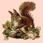 Squirrel Needlepoint Kit Kits Elizabeth Bradley Design Salmon Pink 