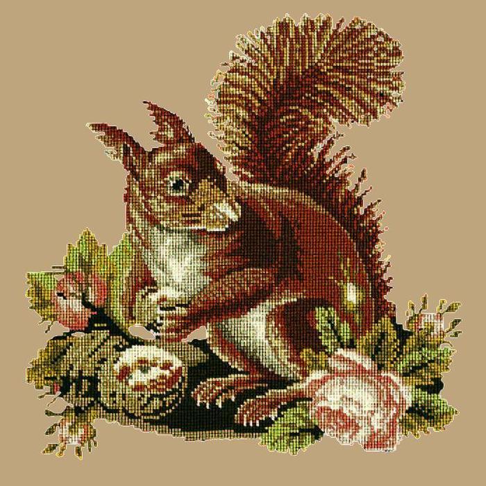 Squirrel Needlepoint Kit Kits Elizabeth Bradley Design Sand 
