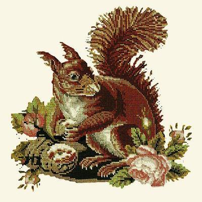 Squirrel Needlepoint Kit Kits Elizabeth Bradley Design Winter White 
