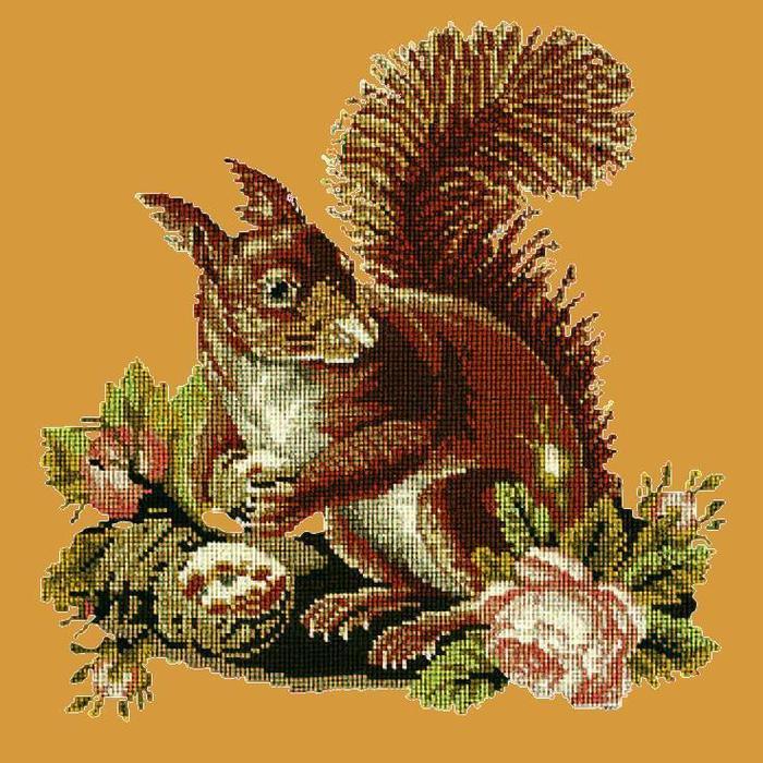 Squirrel Needlepoint Kit Kits Elizabeth Bradley Design Yellow 
