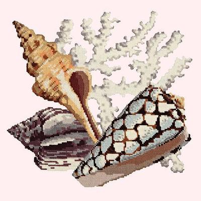 Staghorn Needlepoint Kit Kits Elizabeth Bradley Design Cream 