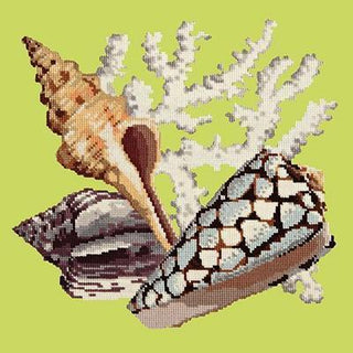 Staghorn Needlepoint Kit Kits Elizabeth Bradley Design Pale Lime 
