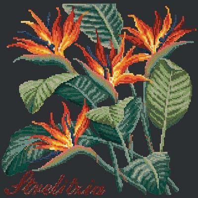 Strelitzia Needlepoint Kit Kits Elizabeth Bradley Design Black 
