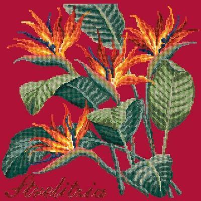 Strelitzia Needlepoint Kit Kits Elizabeth Bradley Design Bright Red 
