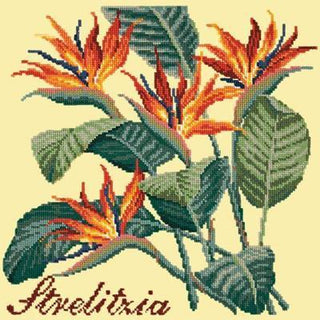 Strelitzia Needlepoint Kit Kits Elizabeth Bradley Design Butter Yellow 
