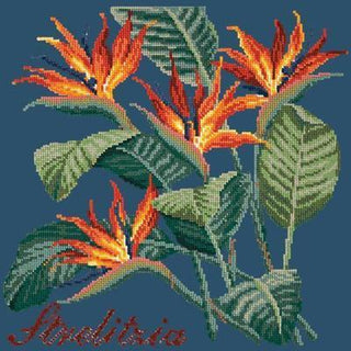 Strelitzia Needlepoint Kit Kits Elizabeth Bradley Design Dark Blue 
