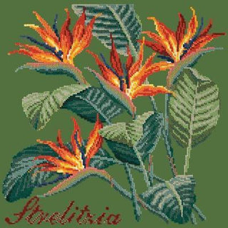 Strelitzia Needlepoint Kit Kits Elizabeth Bradley Design Dark Green 
