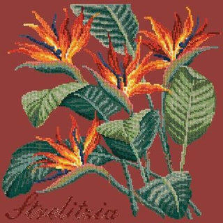 Strelitzia Needlepoint Kit Kits Elizabeth Bradley Design Dark Red 
