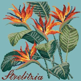 Strelitzia Needlepoint Kit Kits Elizabeth Bradley Design Duck Egg Blue 
