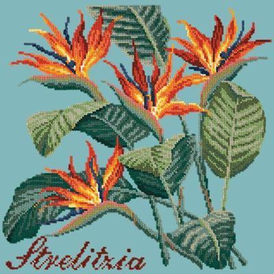 Strelitzia Needlepoint Kit Kits Elizabeth Bradley Design Duck Egg Blue 
