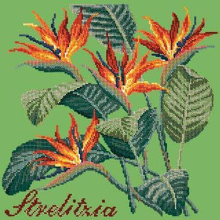 Strelitzia Needlepoint Kit Kits Elizabeth Bradley Design Grass Green 
