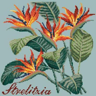Strelitzia Needlepoint Kit Kits Elizabeth Bradley Design Pale Blue 
