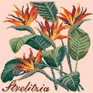 Strelitzia Needlepoint Kit Kits Elizabeth Bradley Design Salmon Pink 
