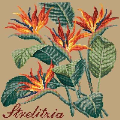 Strelitzia Needlepoint Kit Kits Elizabeth Bradley Design Sand 

