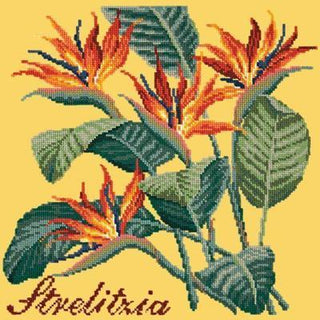 Strelitzia Needlepoint Kit Kits Elizabeth Bradley Design Sunflower Yellow 
