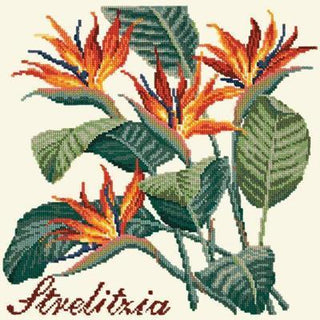 Strelitzia Needlepoint Kit Kits Elizabeth Bradley Design Winter White 
