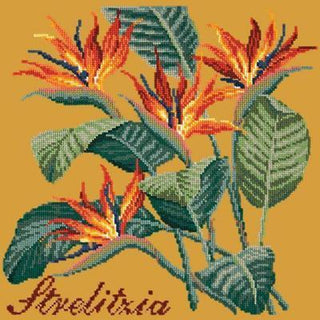 Strelitzia Needlepoint Kit Kits Elizabeth Bradley Design Yellow 
