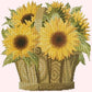 Sunflower Basket Needlepoint Kit Kits Elizabeth Bradley Design Cream 