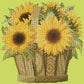 Sunflower Basket Needlepoint Kit Kits Elizabeth Bradley Design Pale Lime 