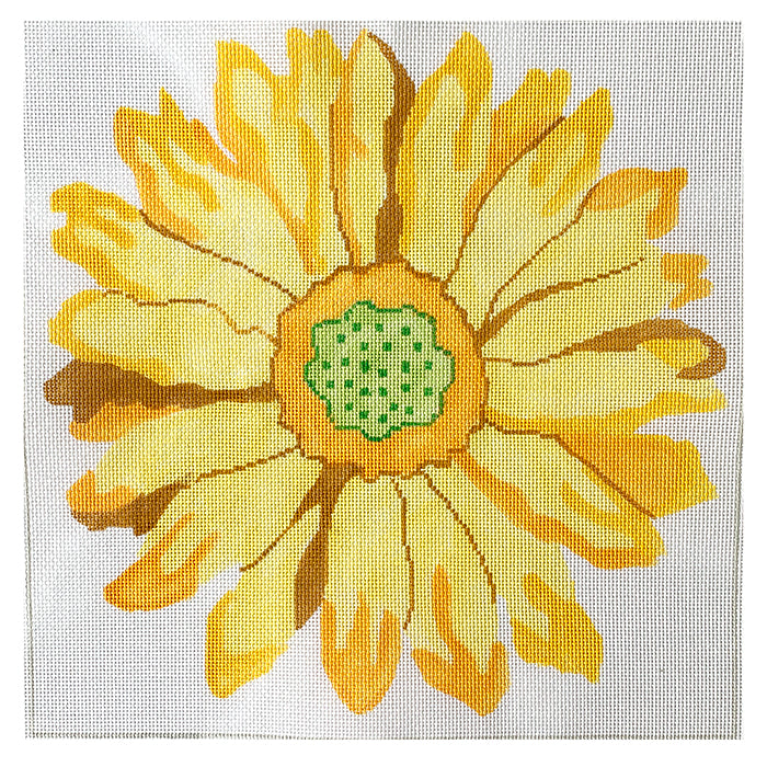 Sunny Gerber Daisy Painted Canvas Jean Smith  - 1