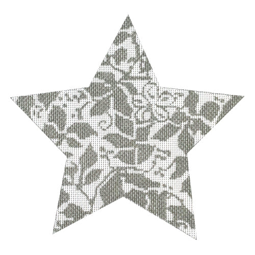 Teri's Star Silver Painted Canvas Whimsy & Grace