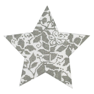 Teri's Star Silver Painted Canvas Whimsy & Grace
