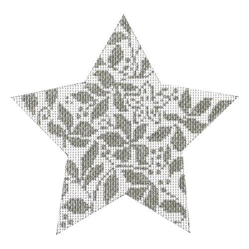 Teri's Star Silver Painted Canvas Whimsy & Grace 