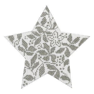 Teri's Star Silver Painted Canvas Whimsy & Grace
