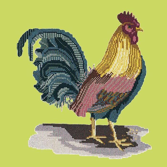 The Cockerel Needlepoint Kit Kits Elizabeth Bradley Design Pale Lime 
