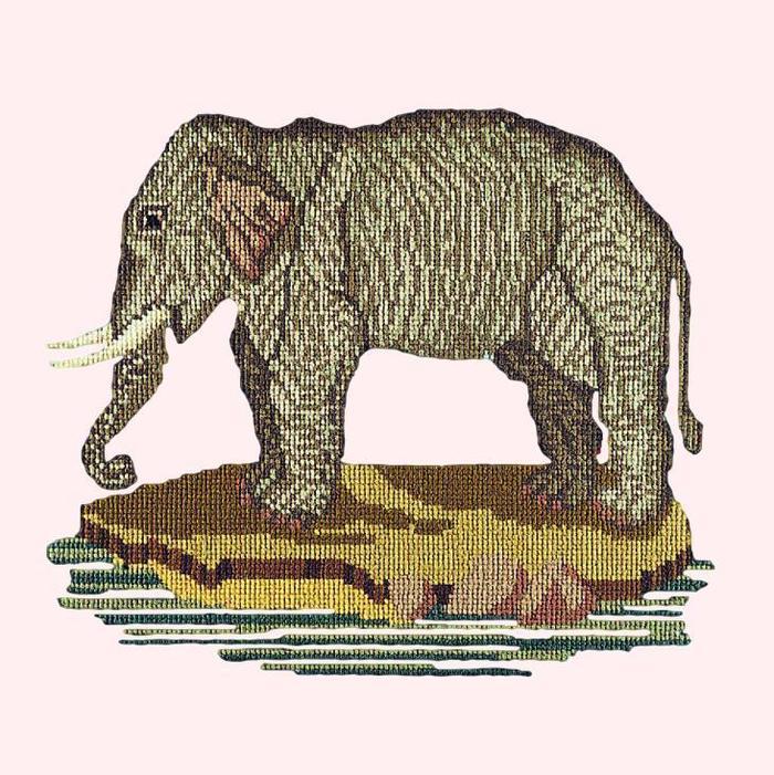 The Elephant Needlepoint Kit Kits Elizabeth Bradley Design Cream 
