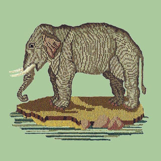 The Elephant Needlepoint Kit Kits Elizabeth Bradley Design Pale Green 
