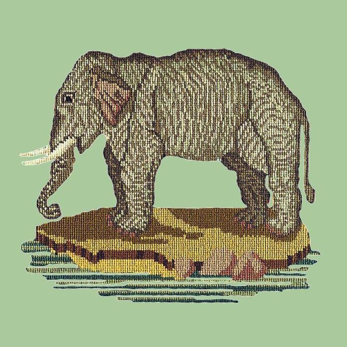 The Elephant Needlepoint Kit Kits Elizabeth Bradley Design Pale Green 
