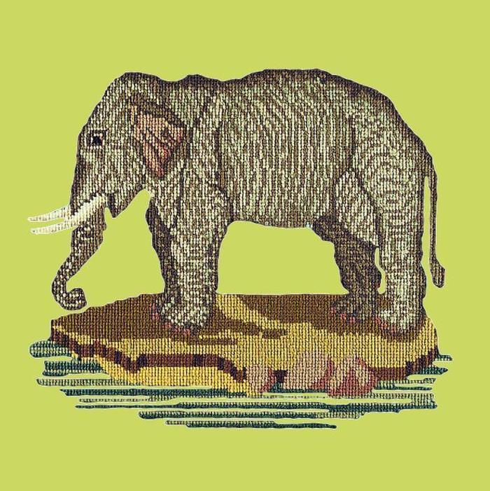 The Elephant Needlepoint Kit Kits Elizabeth Bradley Design Pale Lime 
