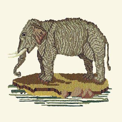 The Elephant Needlepoint Kit Kits Elizabeth Bradley Design Winter White 
