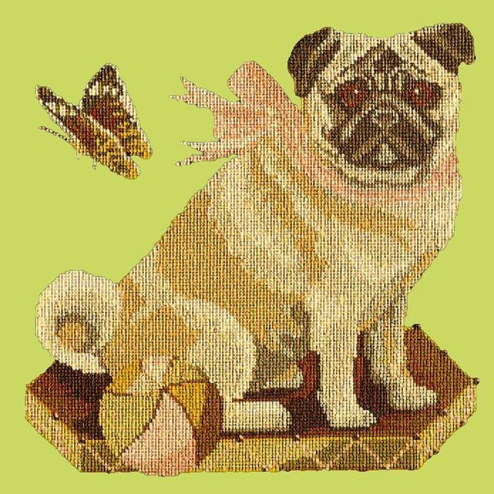 Toby the Pug Needlepoint Kit Kits Elizabeth Bradley Design Pale Lime 
