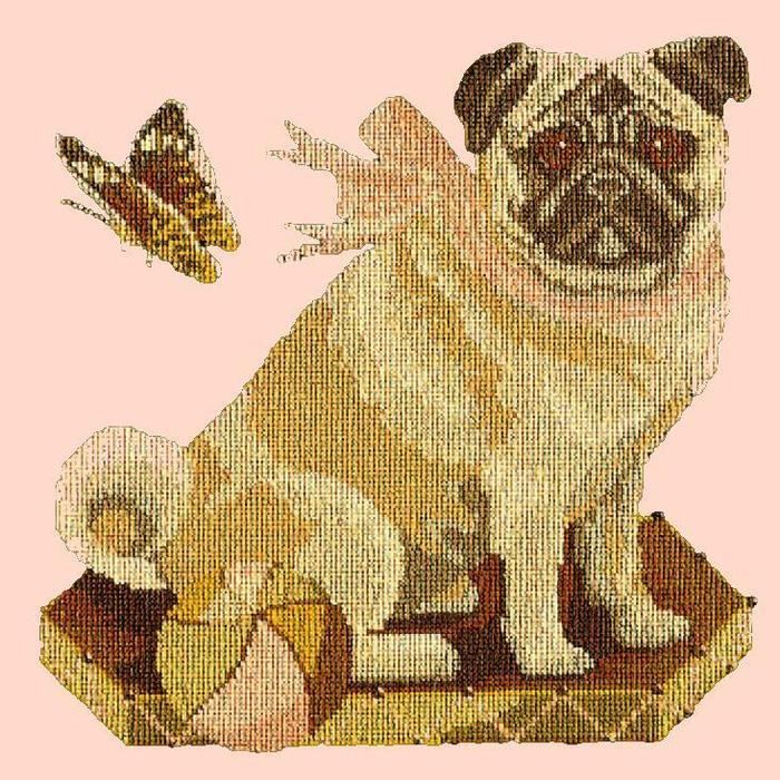 Toby the Pug Needlepoint Kit Kits Elizabeth Bradley Design Salmon Pink 
