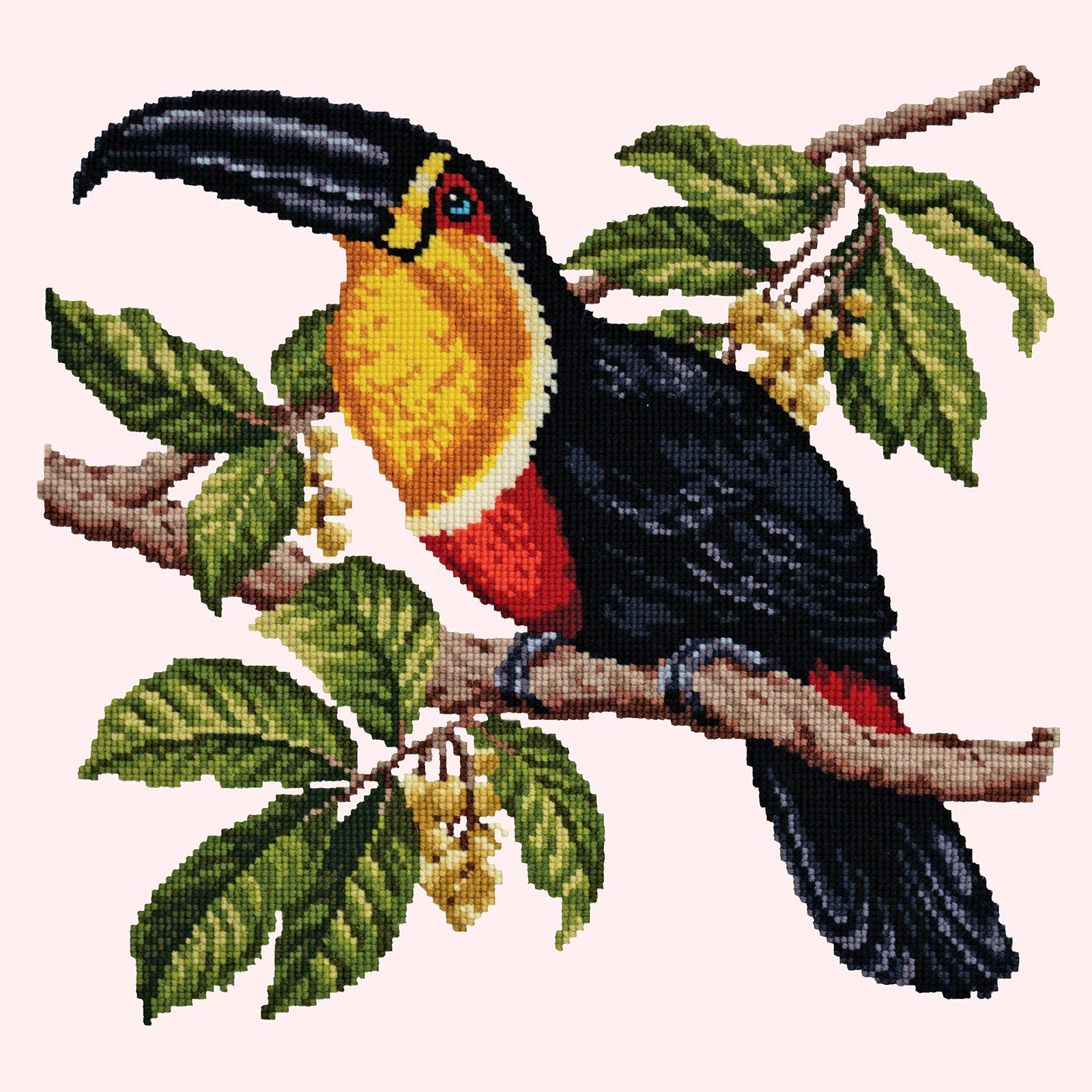 Toucan Needlepoint Kit Kits Elizabeth Bradley Design 
