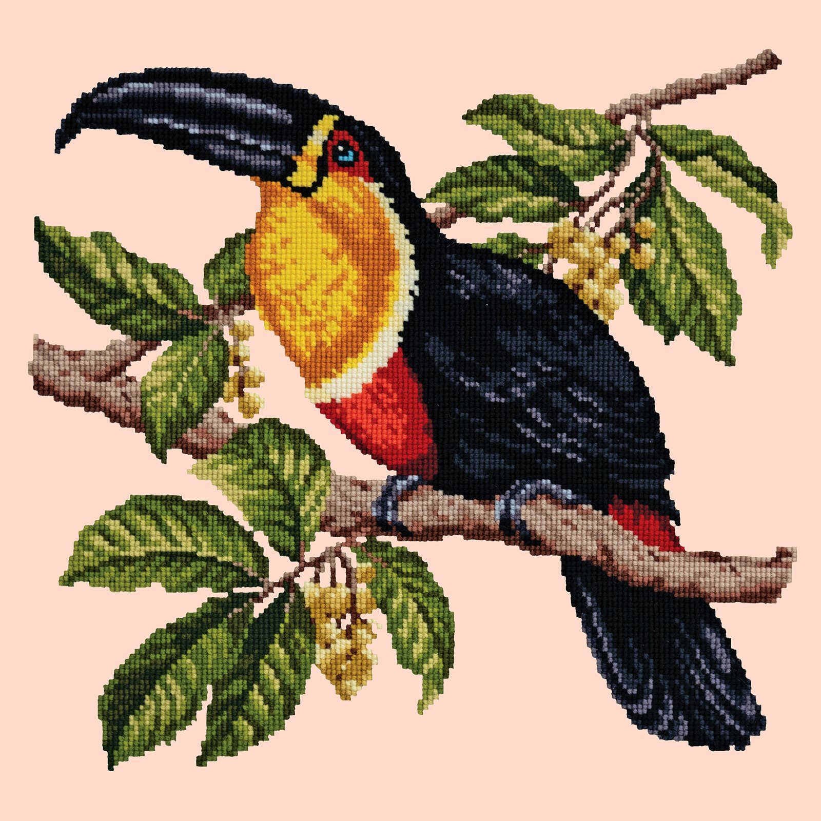 Toucan Needlepoint Kit Kits Elizabeth Bradley Design 
