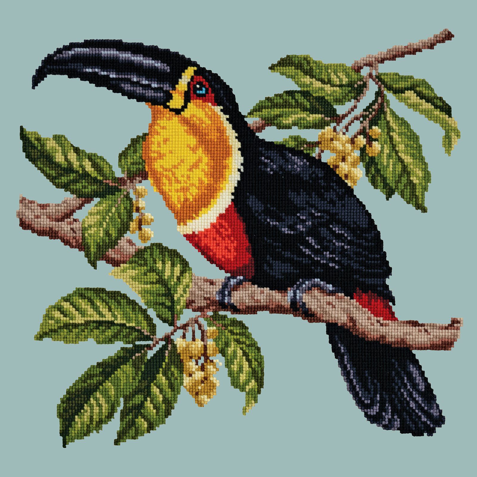 Toucan Needlepoint Kit Kits Elizabeth Bradley Design 
