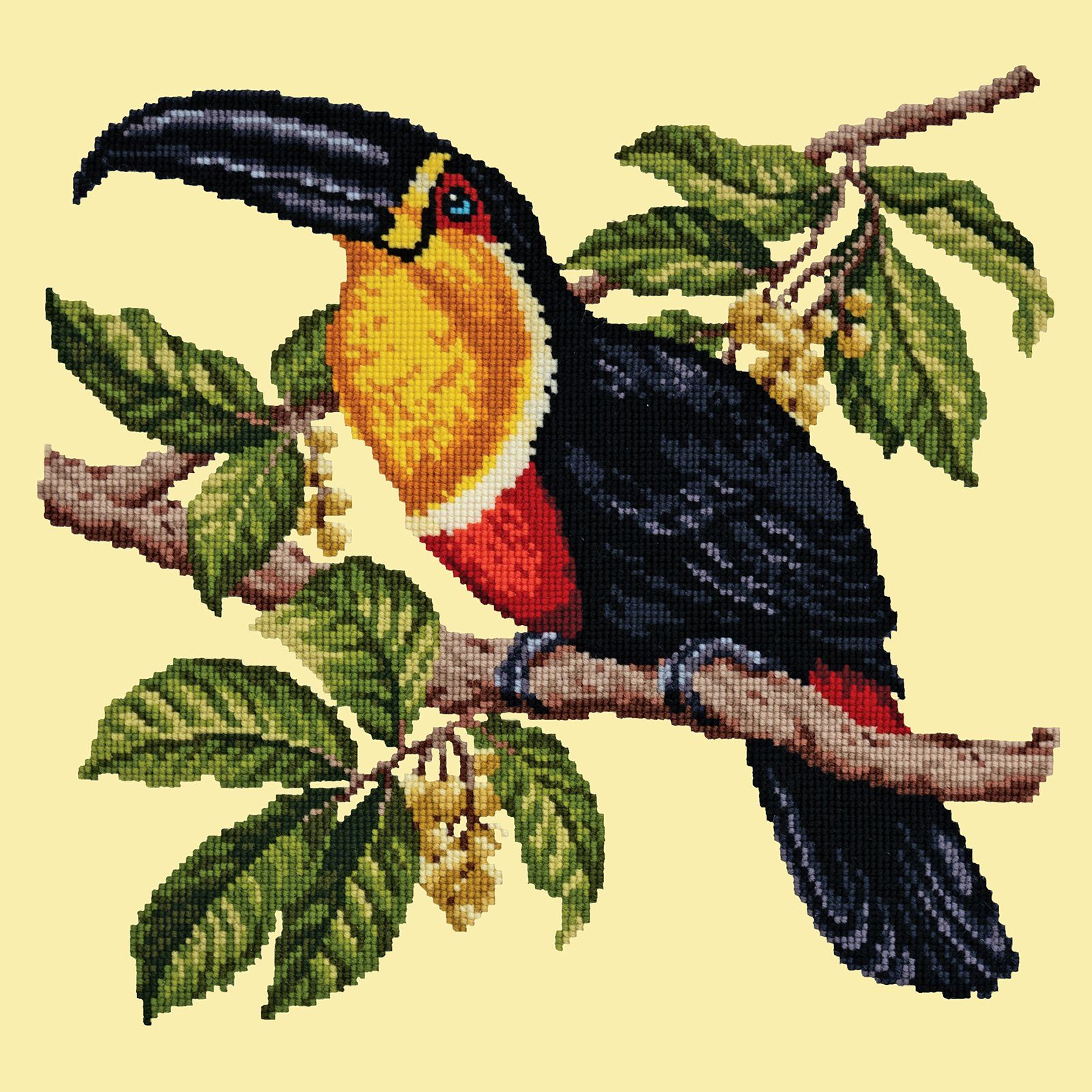 Toucan Needlepoint Kit Kits Elizabeth Bradley Design 
