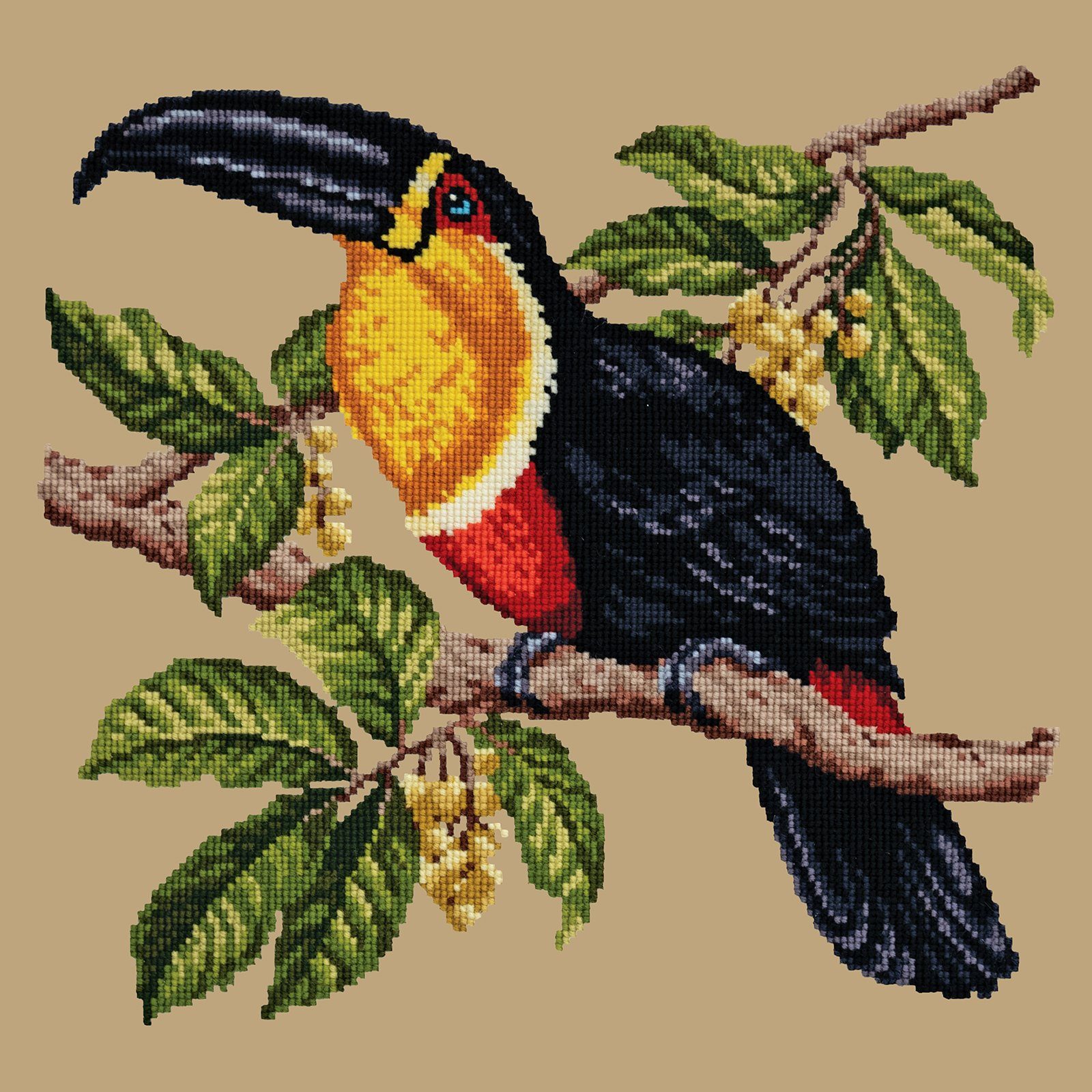 Toucan Needlepoint Kit Kits Elizabeth Bradley Design 
