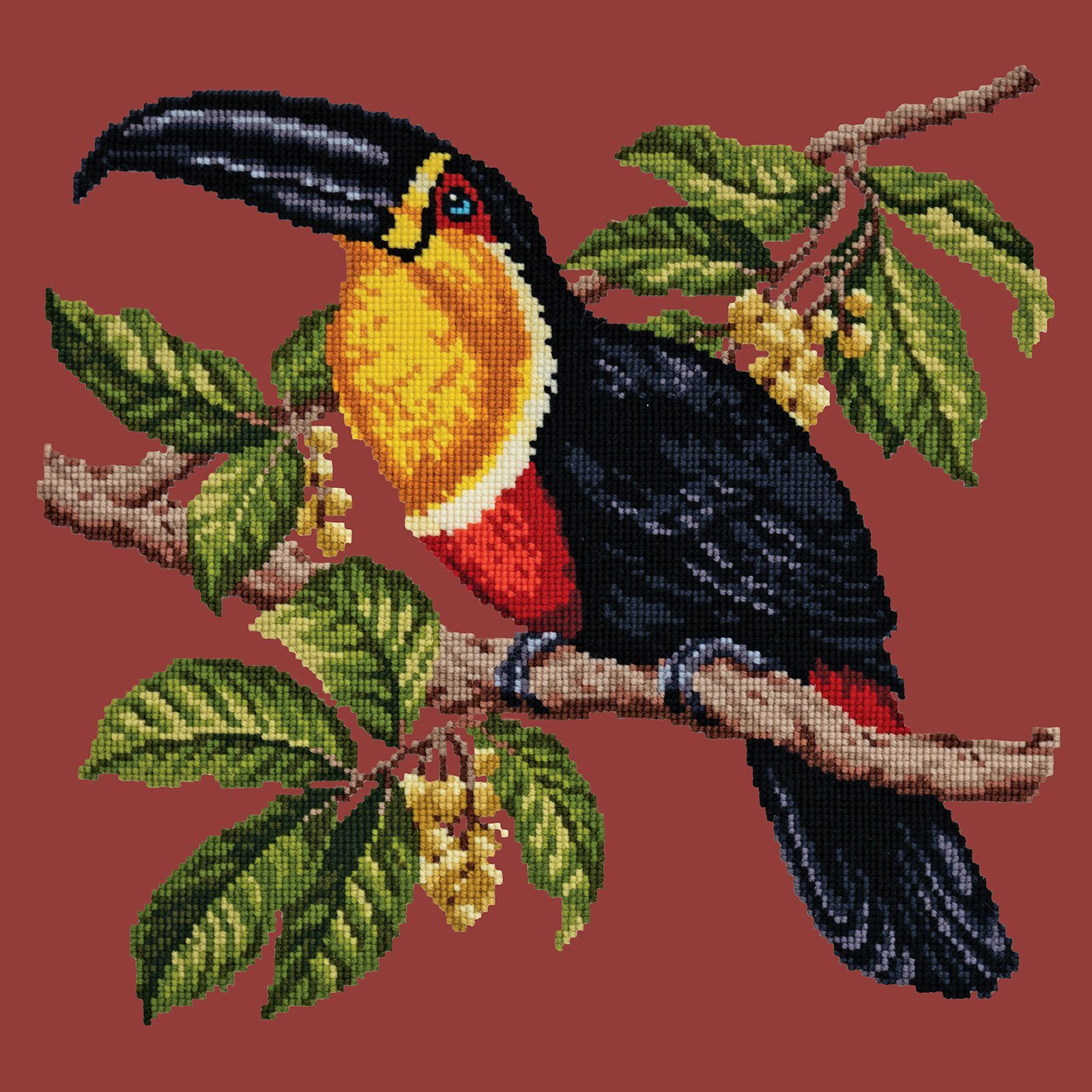 Toucan Needlepoint Kit Kits Elizabeth Bradley Design 

