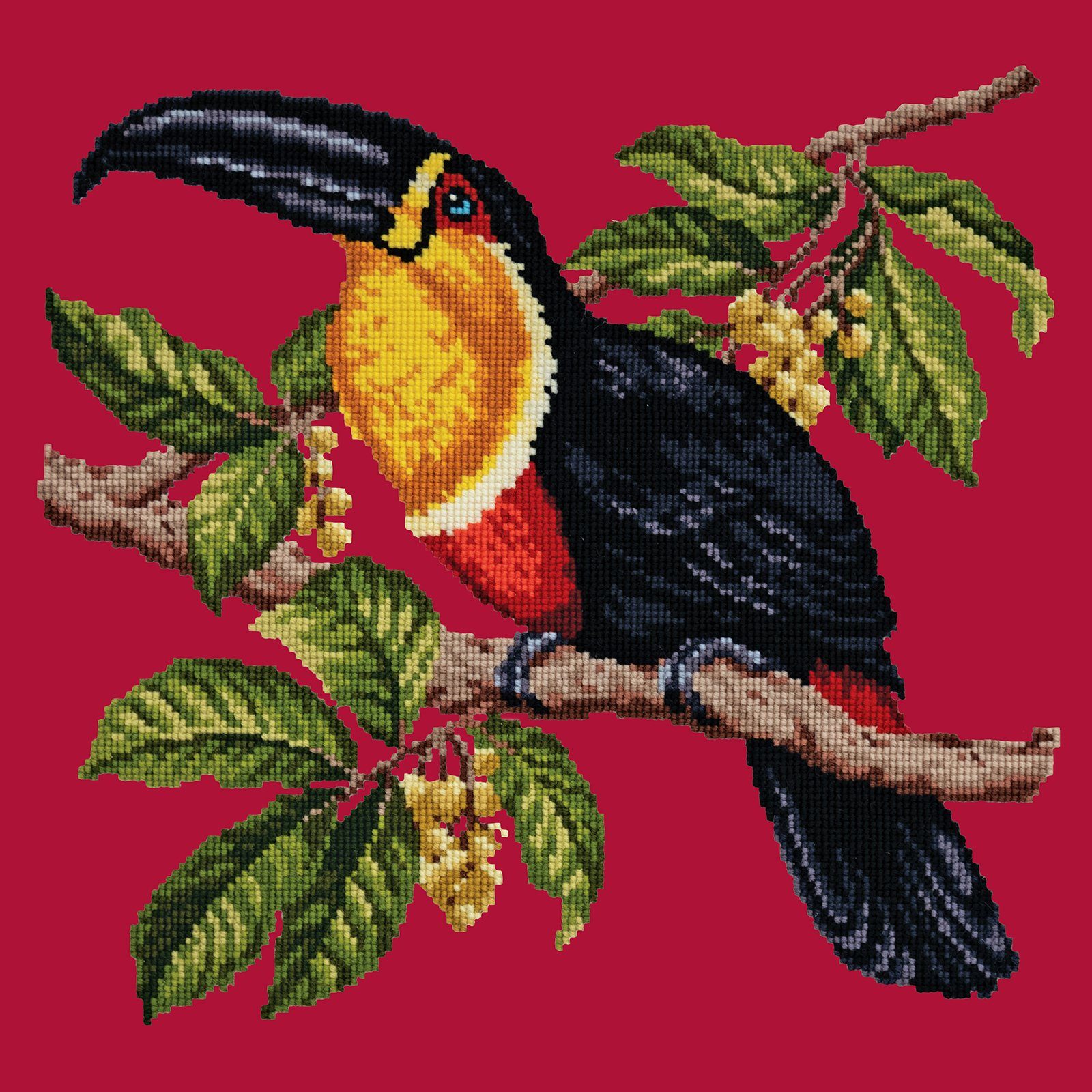 Toucan Needlepoint Kit Kits Elizabeth Bradley Design 
