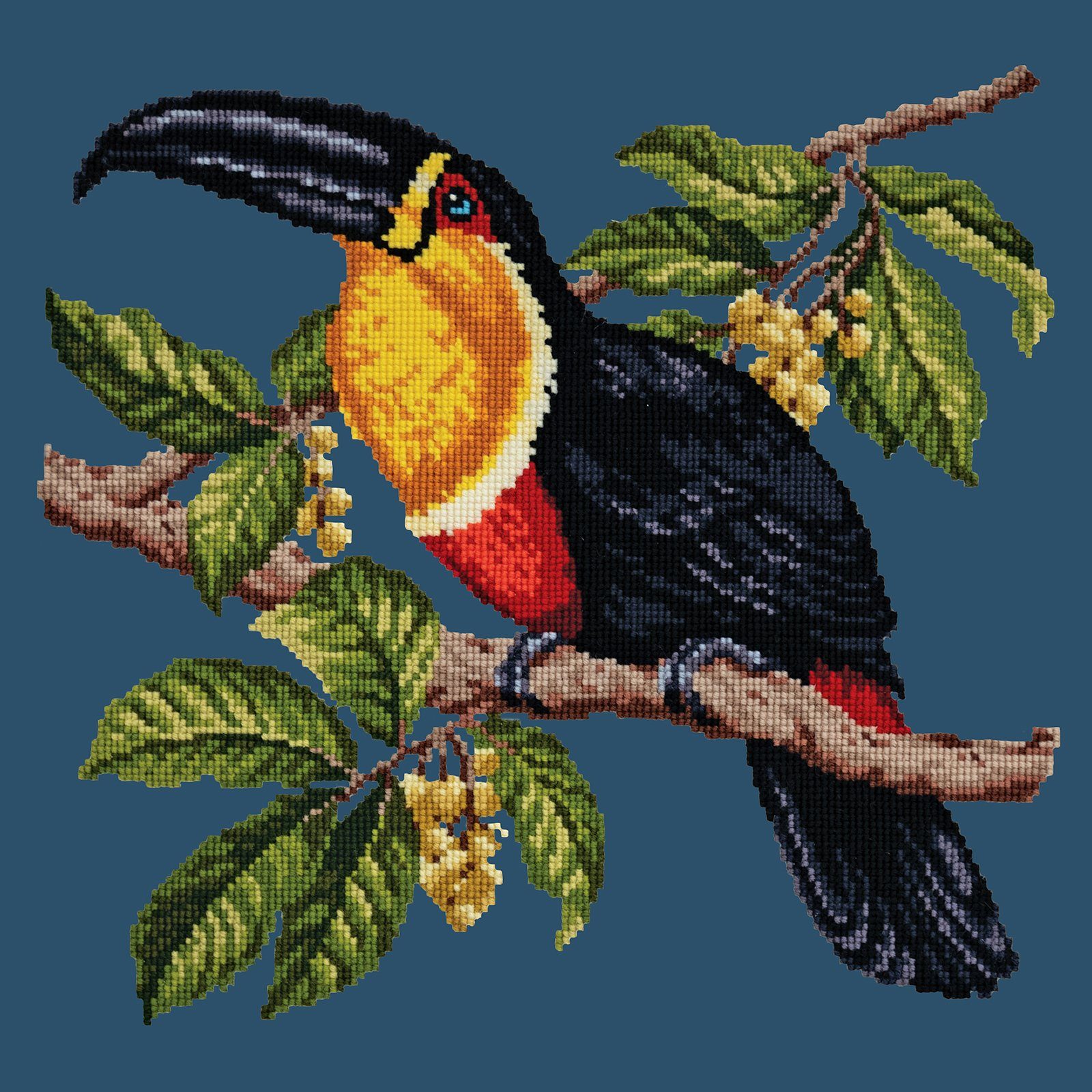 Toucan Needlepoint Kit Kits Elizabeth Bradley Design 
